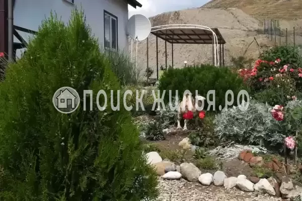 «Camel», Коктебель