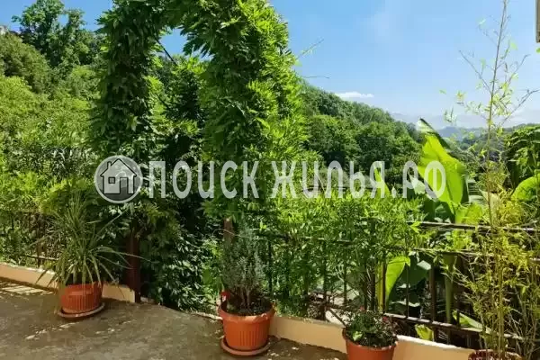 «Маринка», Адлер «Маринка», Адлер