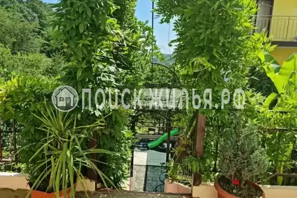 «Маринка», Адлер «Маринка», Адлер