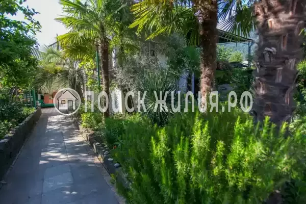 Гостевой дом «Светлана», Гагра