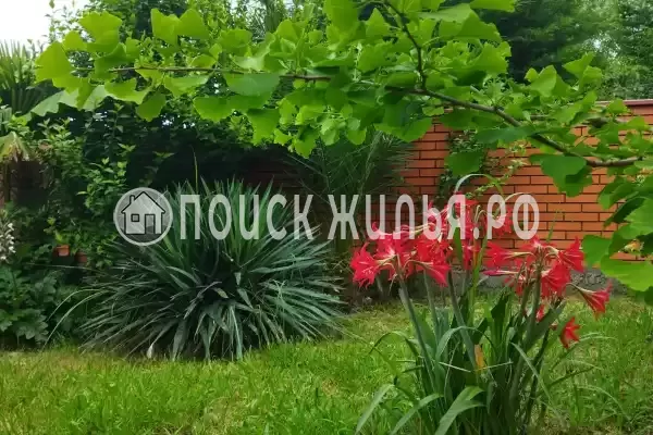 Гостевой дом «Золотая рыбка», Лдзаа