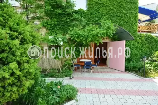 «Елки», Коктебель «Елки», Коктебель