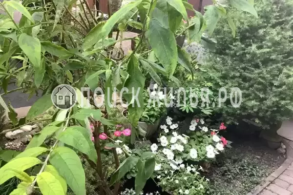 «Гранат», Кабардинка «Гранат», Кабардинка