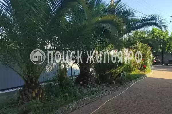 «Лиана», Вардане «Лиана», Вардане