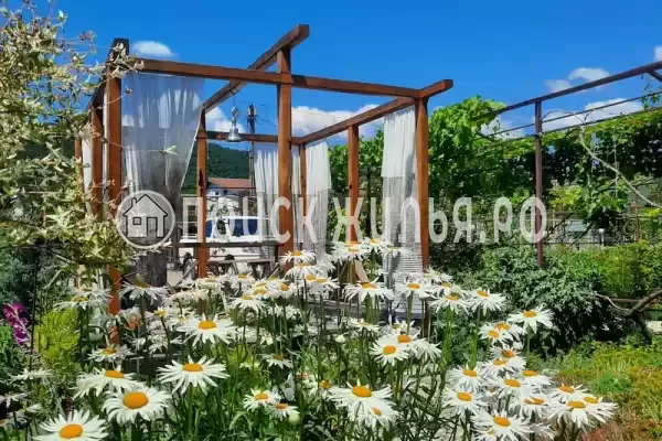 Гостевой дом «Белый Какаду», Береговое Гостевой дом «Белый Какаду», Береговое