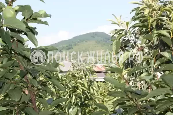 Гостевой дом «Аррива», Цандрипш Гостевой дом «Аррива», Цандрипш