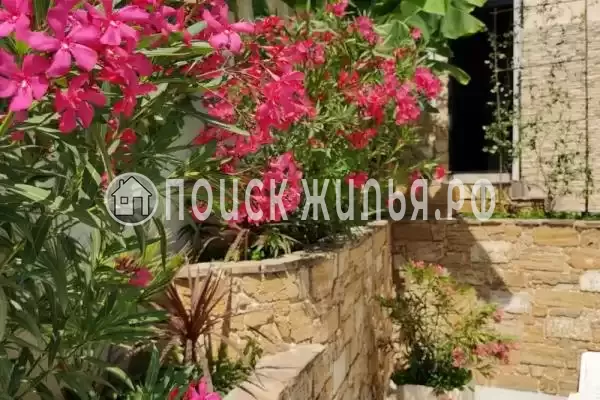 «Юник», Адлер