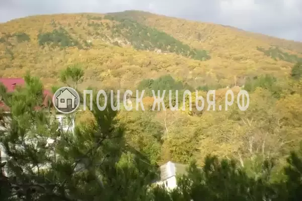 Апартаменты «Бетта», Бетта Апартаменты «Бетта», Бетта