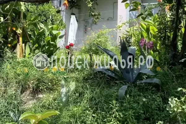 «Над аквалоо», Лоо «Над аквалоо», Лоо