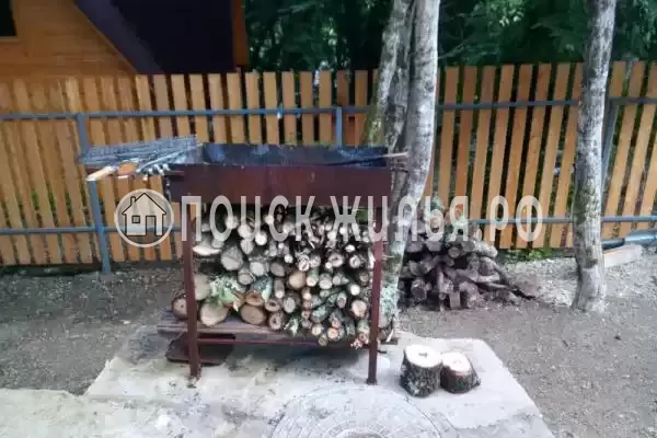 «Betta-Village», Бетта