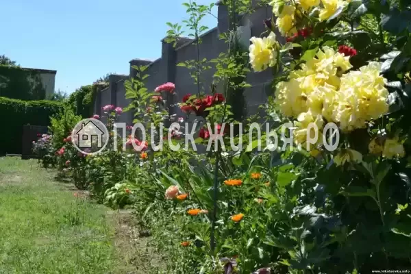 Частный сектор «Солнечный домик», Николаевка