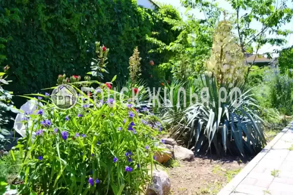 Частный сектор «Солнечный домик», Николаевка