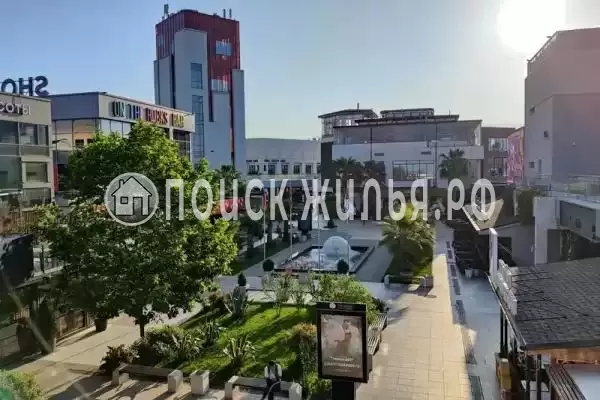 «Крокус», Адлер