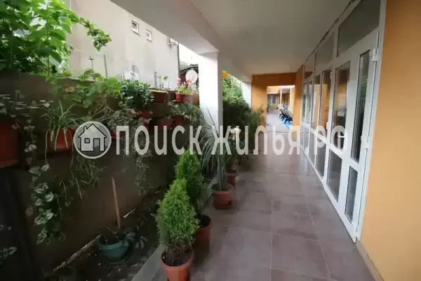 «Михаил», Адлер «Михаил», Адлер