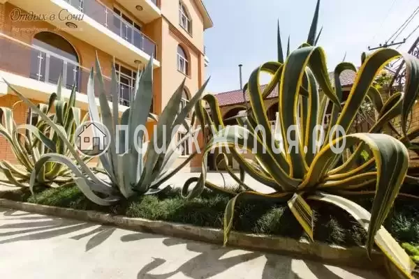 Отель «Джульетта», Адлер Отель «Джульетта», Адлер