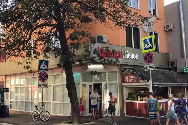 Гостевой дом «В гостях у Минаса», Краснодарский край, Сочи, Адлер, Свердлова, д. 23