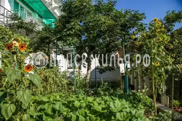 Гостевой дом «У Афанасия», Алушта