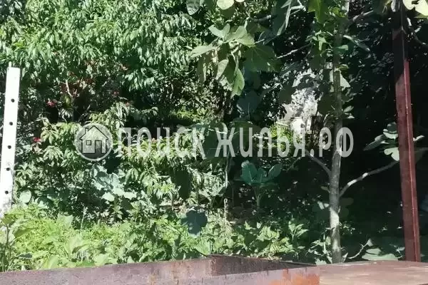 Частный сектор «В гостях у тети Аси», Гагра Частный сектор «В гостях у тети Аси», Гагра