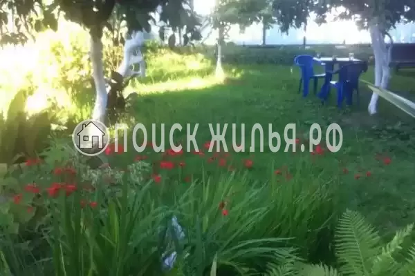 Гостевой дом «Бриз», Пицунда