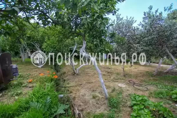 Гостевой дом «У Бори», Гагра