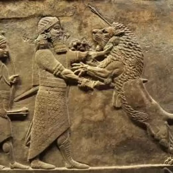 Гостевой дом «Замок рауля», Краснодарский край, Лермонтово, Тенгинская, д. 20/2