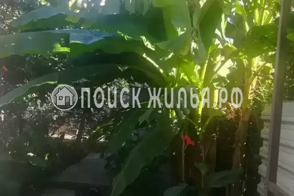 Гостевой дом «Елена», Алахадзы Гостевой дом «Елена», Алахадзы