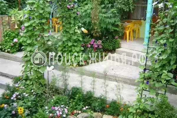 «Эдельвейс», Новомихайловский