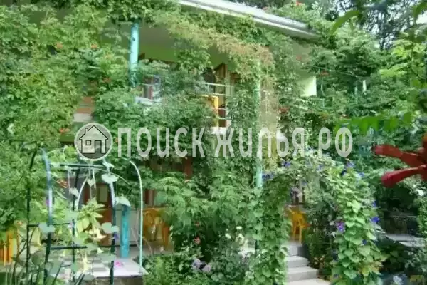 «Эдельвейс», Новомихайловский