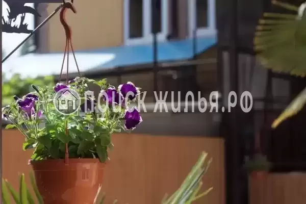 «Ульяна», Адлер «Ульяна», Адлер