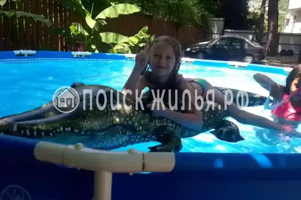 Гостевой дом «Сосновый двор», Ольгинка Гостевой дом «Сосновый двор», Ольгинка