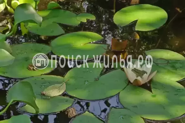 Гостевой дом «У Риммы», Цандрипш