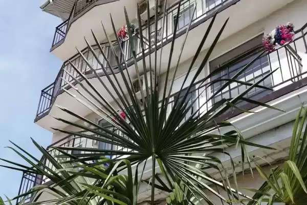 Гостиница «Афродита»
