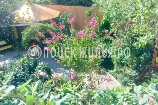 «Алиса», Солоники