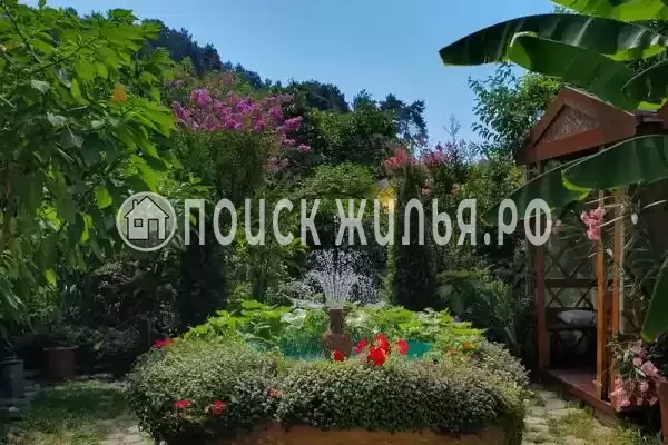 «Алиса», Солоники