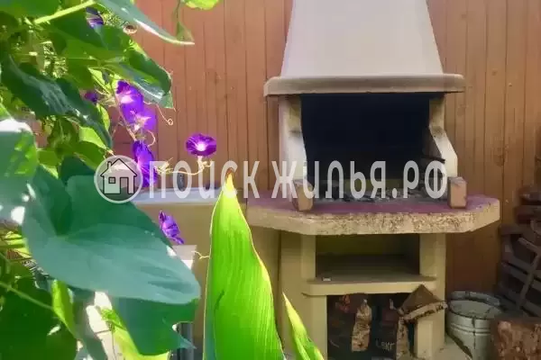 «Алиса», Солоники