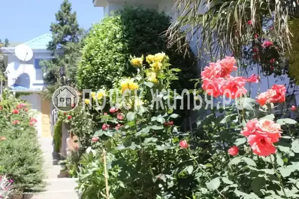 «АнНи», Гаспра