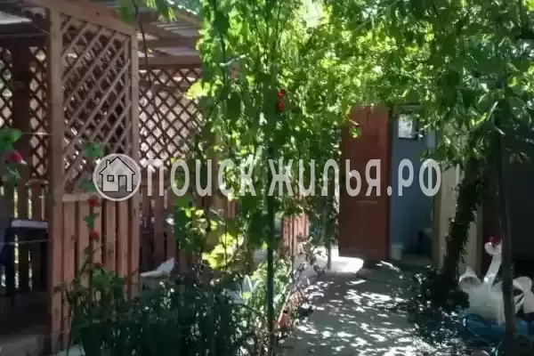 «Человек солнца», Бетта «Человек солнца», Бетта