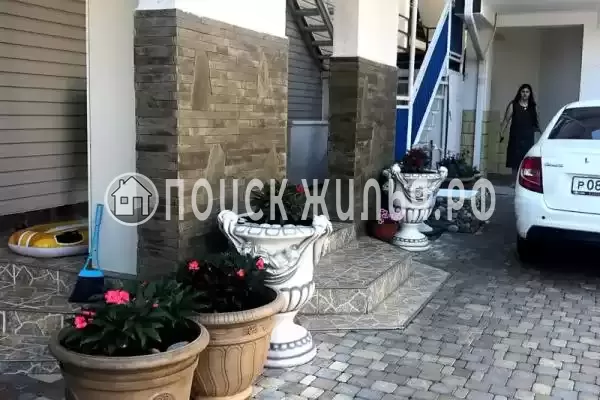 «Kivi», Ольгинка