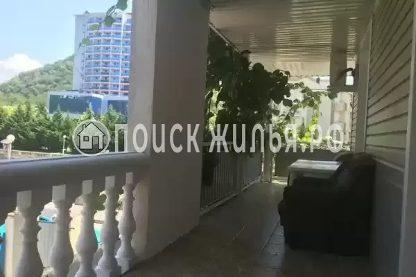 «Kivi», Ольгинка