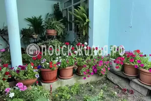 «У Татьяны», Волконка «У Татьяны», Волконка