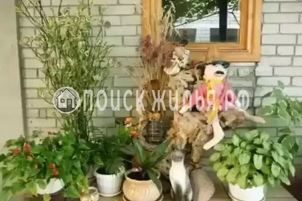 «Морская пристань», Криница «Морская пристань», Криница