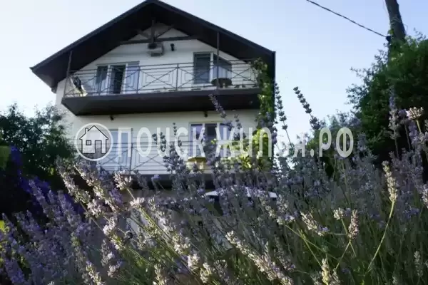 Снять жилье: Гостевой дом «Лавандовый дворик», Краснодарский край, Архипо-Осиповка, Советская, д.42 Снять жилье: Гостевой дом «Лавандовый дворик», Краснодарский край, Архипо-Осиповка, Советская, д.42