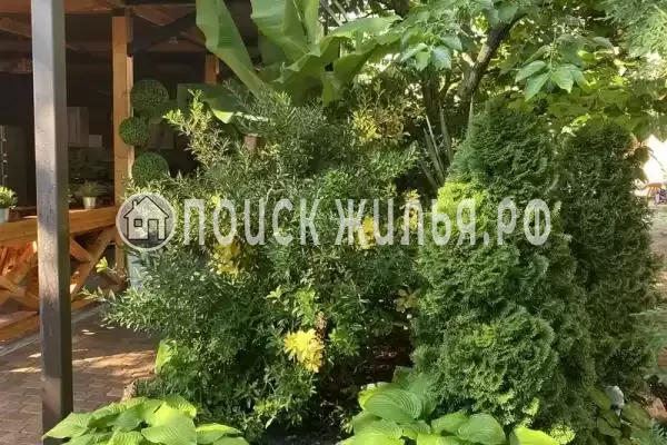 «Глафира», Дивноморское