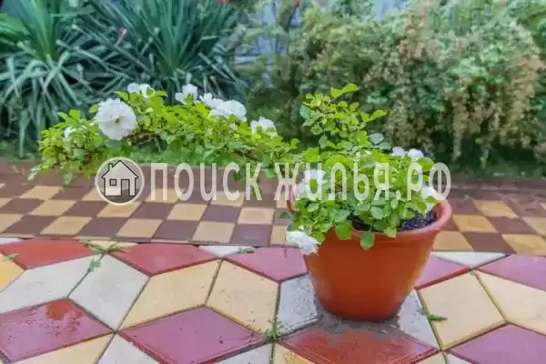 «Green House», Пляхо «Green House», Пляхо