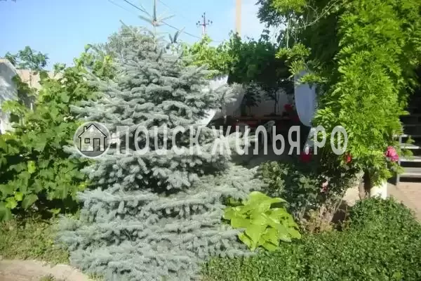 Гостевой дом «Оазис», Береговое