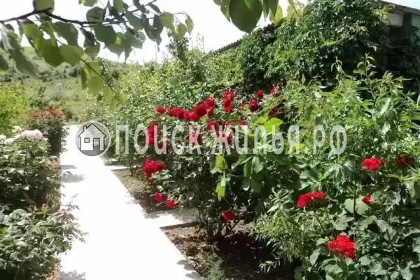 «Уют», Республика Крым, Курортное, Набережная, д.95