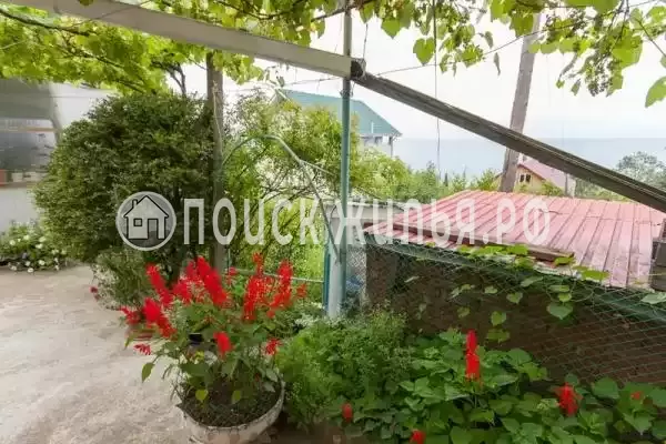 «Лилия», Чемитоквадже