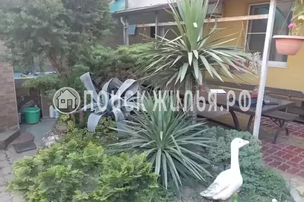 «Элати», Адлер