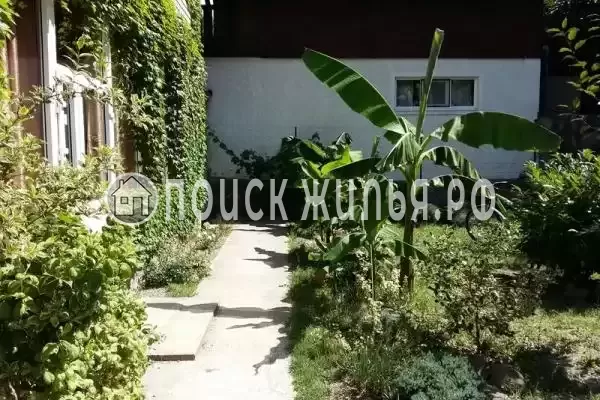 «Морской бриз», Пляхо