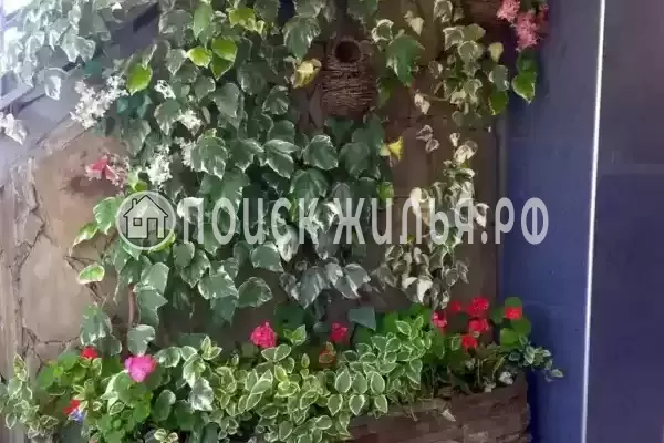 Гостевой дом «Наира», Адлер Гостевой дом «Наира», Адлер